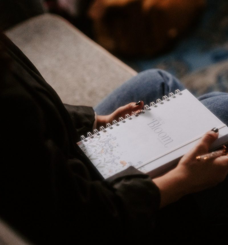 Agenda Personalizada 2026